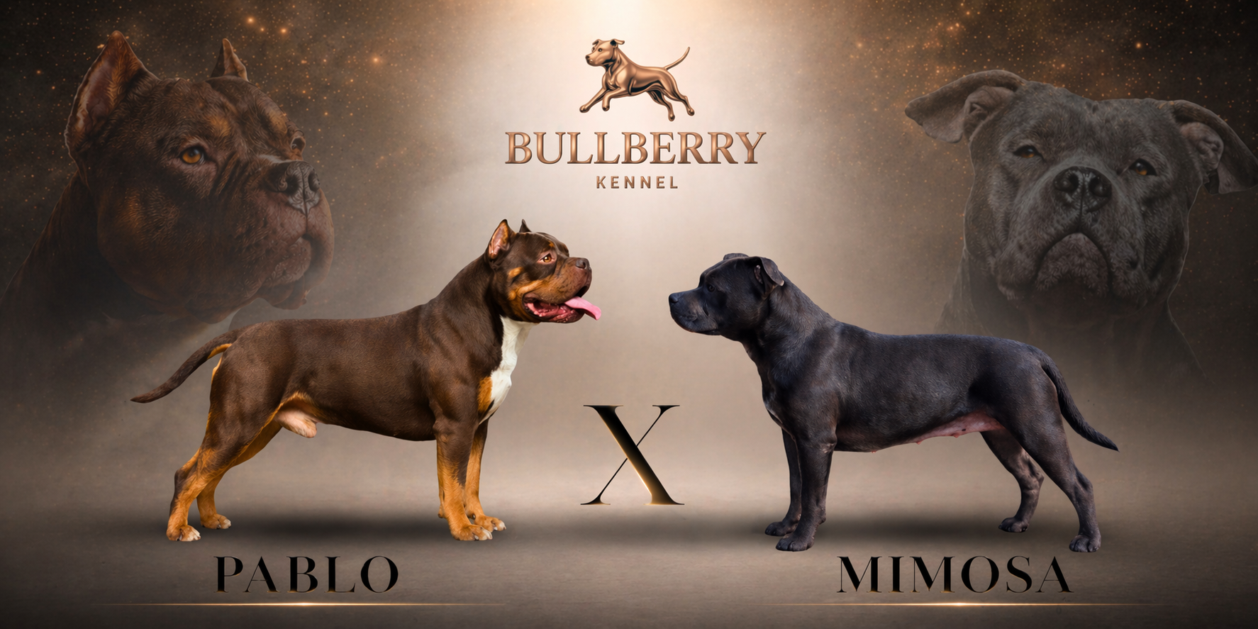 Pablo X Mimosa